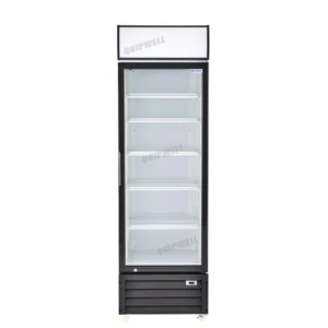 1-door commercial upright display fridge with glass doors and LED lighting