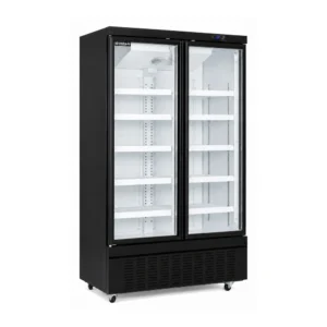 Wellquip FC2X 2 door upright display freezer with auto defrost cooling