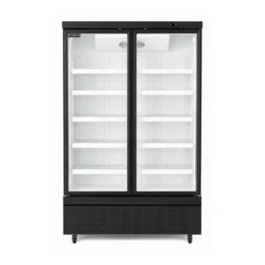 Wellquip FC2X 2 door upright display freezer with auto defrost cooling
