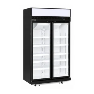 2 door upright display freezer with glass doors, auto defrost and LED lighting