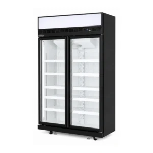 2 door upright display freezer with glass doors, auto defrost and LED lighting