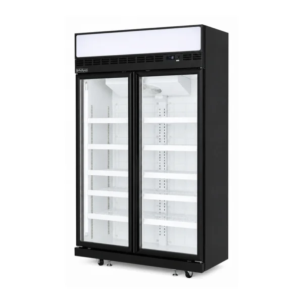 2 door upright display freezer with glass doors, auto defrost and LED lighting