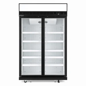 2 door upright display freezer with glass doors, auto defrost and LED lighting