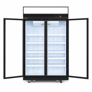 2 door upright display freezer with glass doors, auto defrost and LED lighting