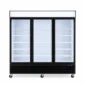 Wellquip 2090L 3 door upright display freezer FC83 front view