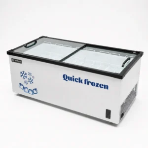 Commercial glass display freezer for supermarkets