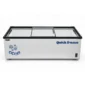 Wellquip CF2510BS island freezer front view