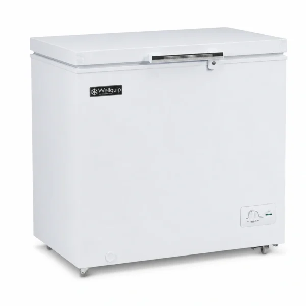 KF205_Front-left with doors closed Storage chest freezer for cafés and commercial kitchens