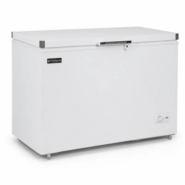 KF401_Front-left with doors closed Storage chest freezer for cafés and commercial kitchens