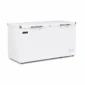 Storage chest freezer for cafés and commercial kitchens