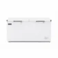 Commercial freezer with freezer and chiller settings